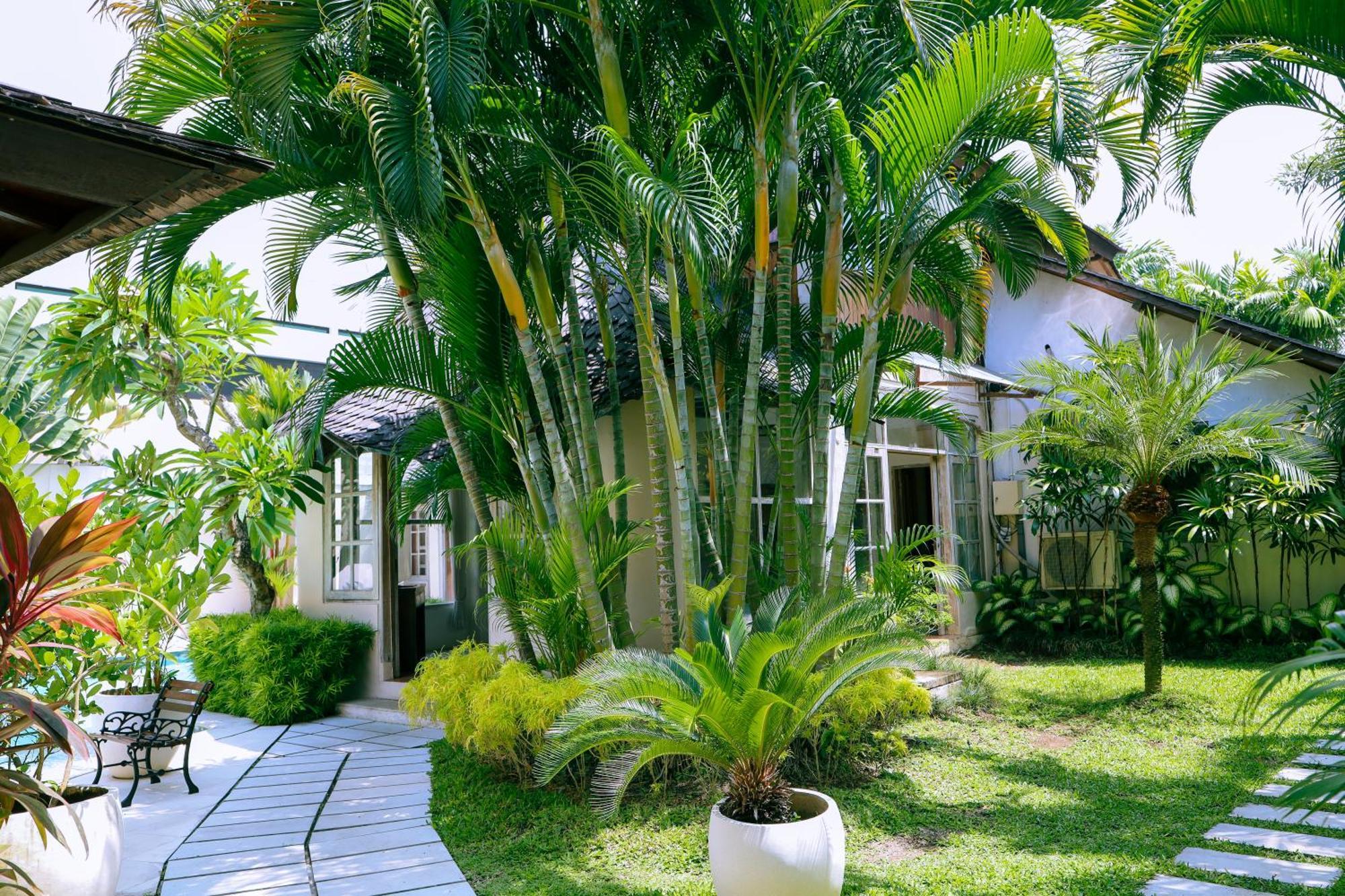 Coconut Bali Villa